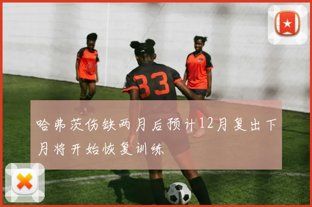 哈弗茨伤缺两月后预计12月复出下月将开始恢复训练