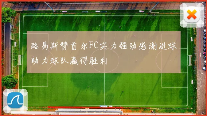 路易斯赞首尔FC实力强劲感谢进球助力球队赢得胜利