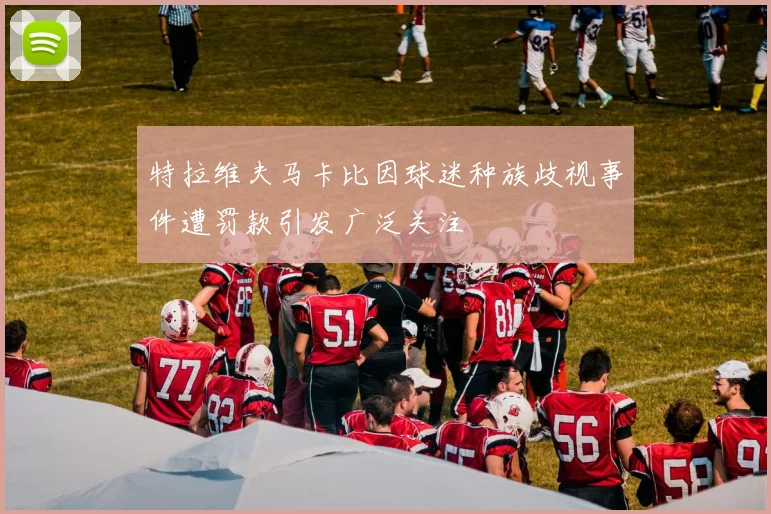 特拉维夫马卡比因球迷种族歧视事件遭罚款引发广泛关注