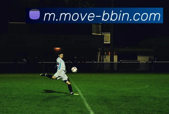 BBIN体育品牌故事